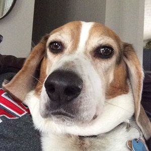 Meet your Posher, Cynthia